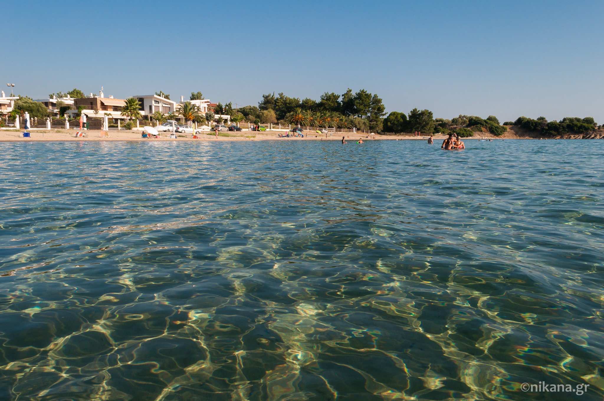 castri-beach-sithonia-1